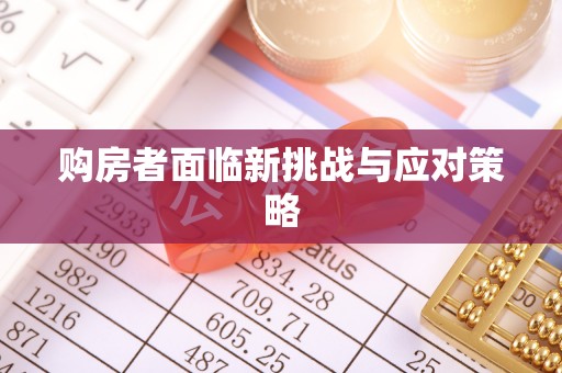 轮台购房者面临新挑战与应对策略