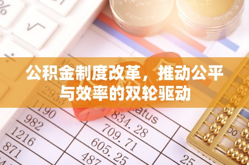 轮台公积金制度改革，推动公平与效率的双轮驱动