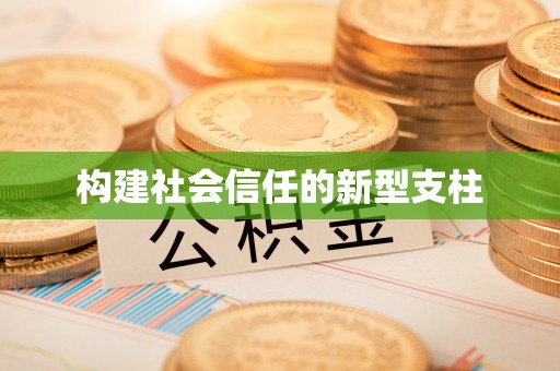 轮台构建社会信任的新型支柱