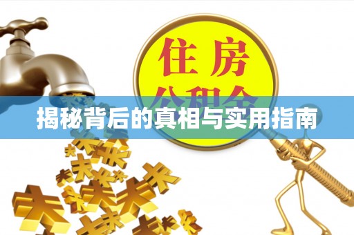 轮台揭秘背后的真相与实用指南