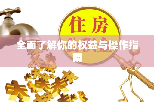 轮台全面了解你的权益与操作指南