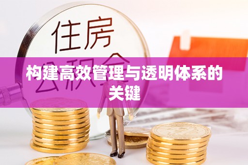轮台构建高效管理与透明体系的关键