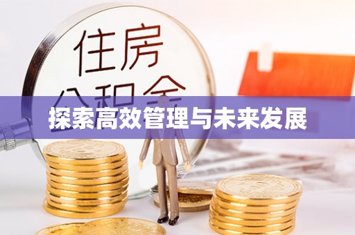 轮台探索高效管理与未来发展