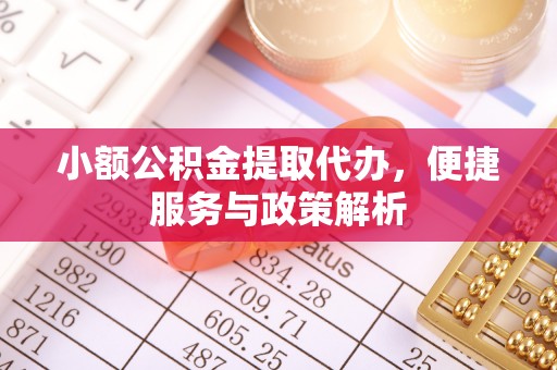 轮台小额公积金提取代办，便捷服务与政策解析