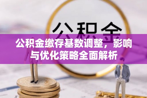 轮台公积金缴存基数调整，影响与优化策略全面解析