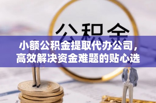 轮台小额公积金提取代办公司，高效解决资金难题的贴心选择