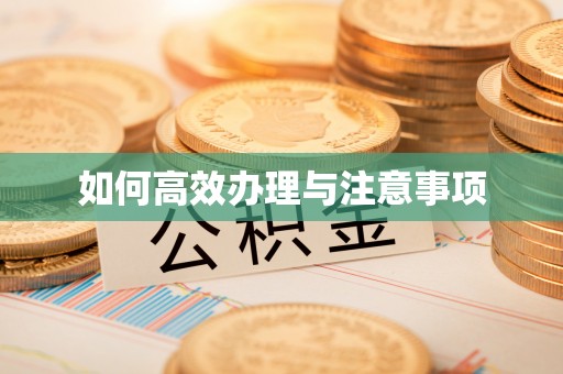 轮台如何高效办理与注意事项