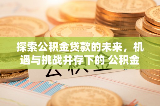 轮台探索公积金贷款的未来，机遇与挑战并存下的 公积金贷款风险防控