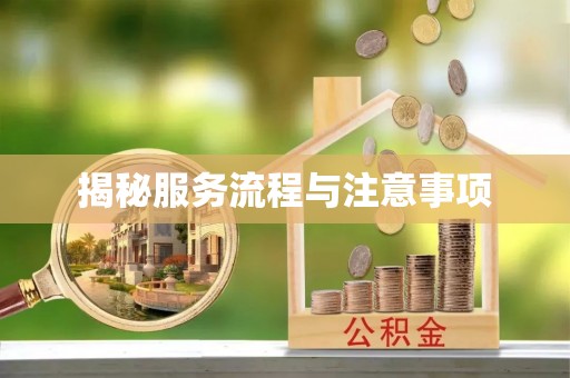 轮台揭秘服务流程与注意事项