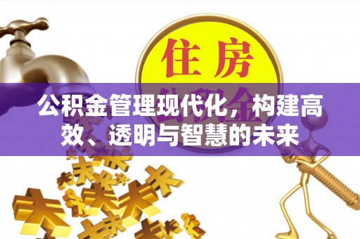 轮台公积金管理现代化，构建高效、透明与智慧的未来