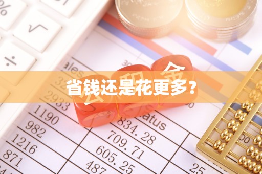 轮台省钱还是花更多？