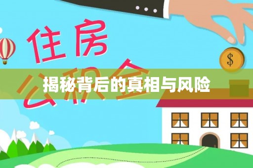 轮台揭秘背后的真相与风险