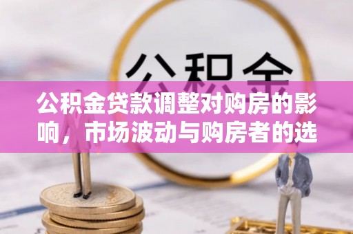 轮台公积金贷款调整对购房的影响，市场波动与购房者的选择