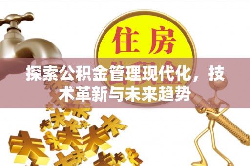 轮台探索公积金管理现代化，技术革新与未来趋势