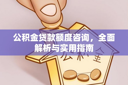 轮台公积金贷款额度咨询，全面解析与实用指南
