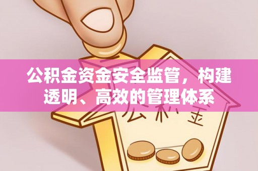 轮台公积金资金安全监管，构建透明、高效的管理体系