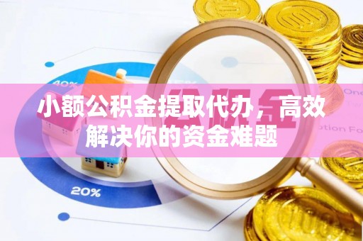轮台小额公积金提取代办，高效解决你的资金难题