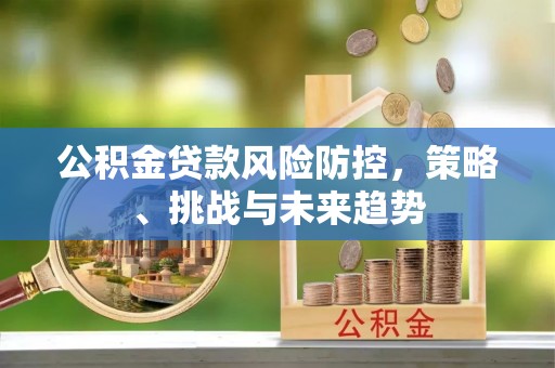 轮台公积金贷款风险防控，策略、挑战与未来趋势