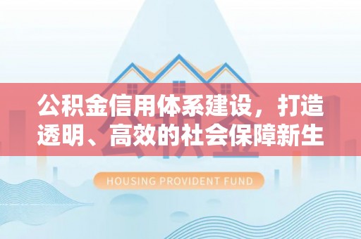 轮台公积金信用体系建设，打造透明、高效的社会保障新生态