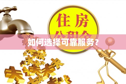 轮台如何选择可靠服务？