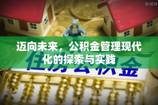 轮台迈向未来，公积金管理现代化的探索与实践