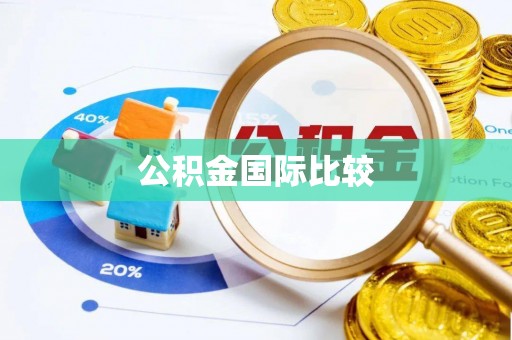 轮台公积金国际比较