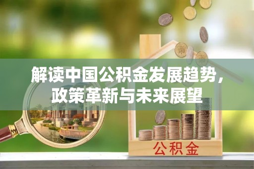 轮台解读中国公积金发展趋势，政策革新与未来展望