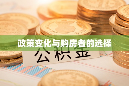 轮台政策变化与购房者的选择