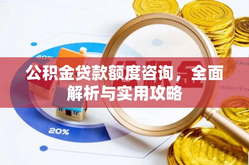 轮台公积金贷款额度咨询，全面解析与实用攻略