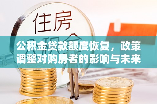 轮台公积金贷款额度恢复，政策调整对购房者的影响与未来展望