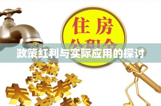 轮台政策红利与实际应用的探讨