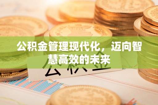 轮台公积金管理现代化，迈向智慧高效的未来