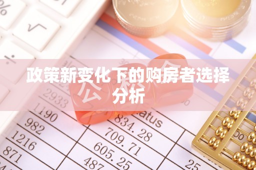 轮台政策新变化下的购房者选择分析