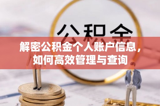 轮台解密公积金个人账户信息，如何高效管理与查询