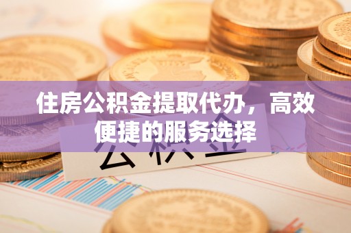 轮台住房公积金提取代办，高效便捷的服务选择