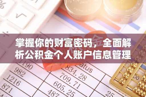 轮台掌握你的财富密码，全面解析公积金个人账户信息管理