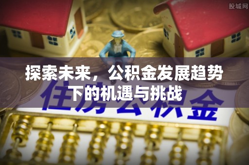 轮台探索未来，公积金发展趋势下的机遇与挑战