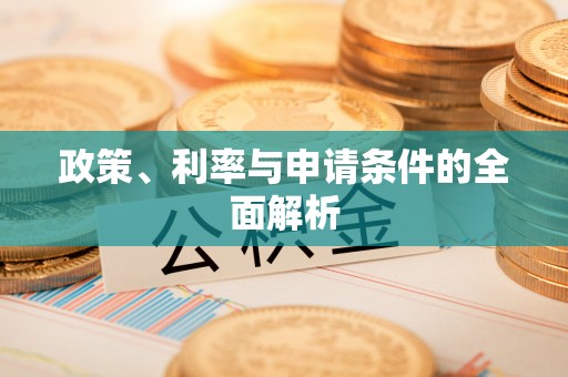 轮台政策、利率与申请条件的全面解析