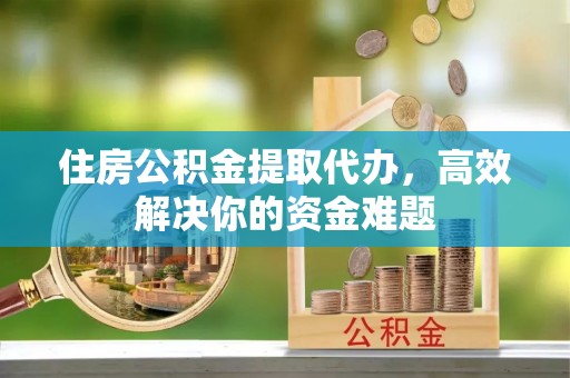 轮台住房公积金提取代办，高效解决你的资金难题