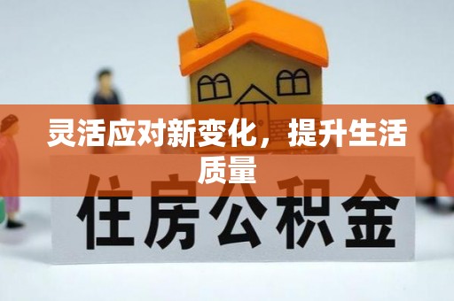 轮台灵活应对新变化，提升生活质量