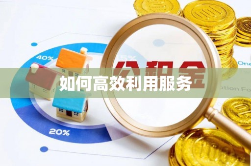轮台如何高效利用服务
