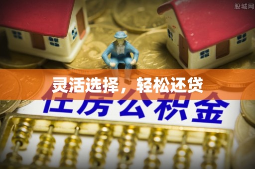 轮台灵活选择，轻松还贷