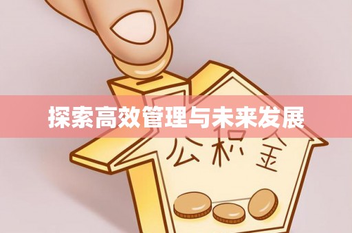轮台探索高效管理与未来发展