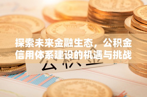 轮台探索未来金融生态，公积金信用体系建设的机遇与挑战