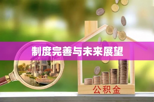 轮台制度完善与未来展望