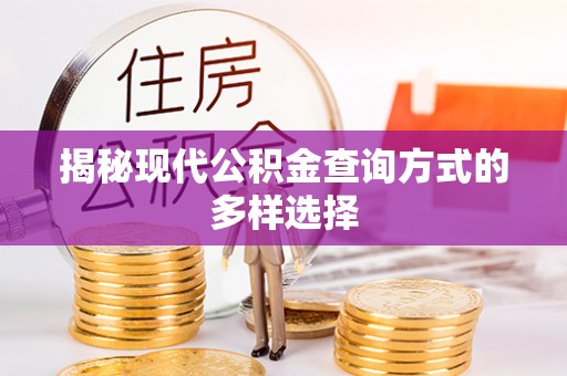 轮台揭秘现代公积金查询方式的多样选择
