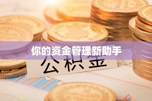 轮台你的资金管理新助手