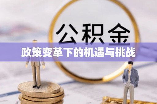轮台政策变革下的机遇与挑战