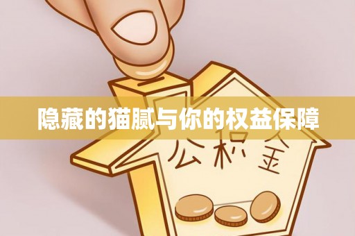 轮台隐藏的猫腻与你的权益保障