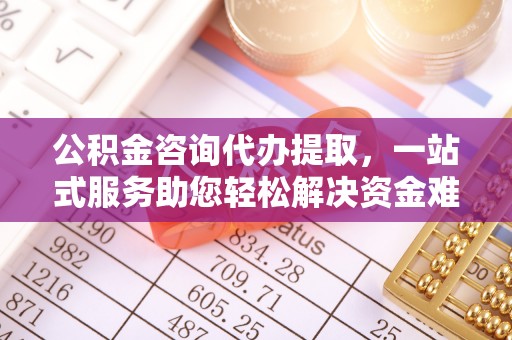 轮台公积金咨询代办提取，一站式服务助您轻松解决资金难题